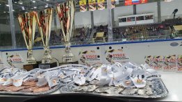 7 мая в Ледовом Дворце Спорта «Кристалл» состоялось открытие турнира по хоккею с шайбой в честь первого в Подмосковье Чемпиона мира по хоккею Юрия Георгиевича Парамошкина.